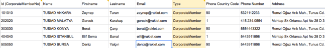 crm database excel