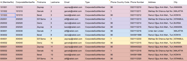 crm database excel 2