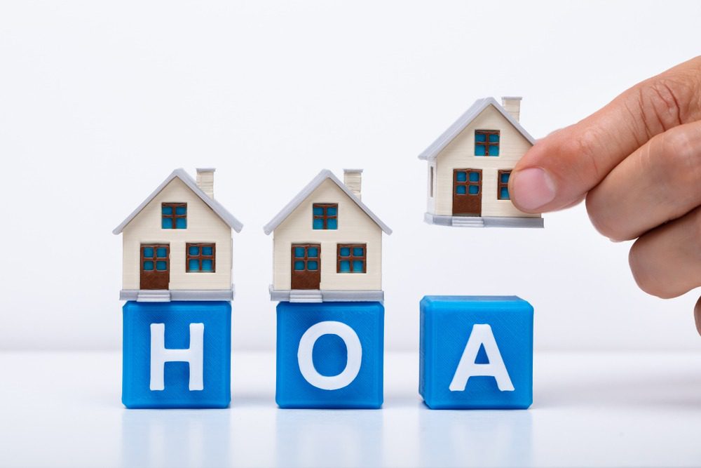 hoa website
