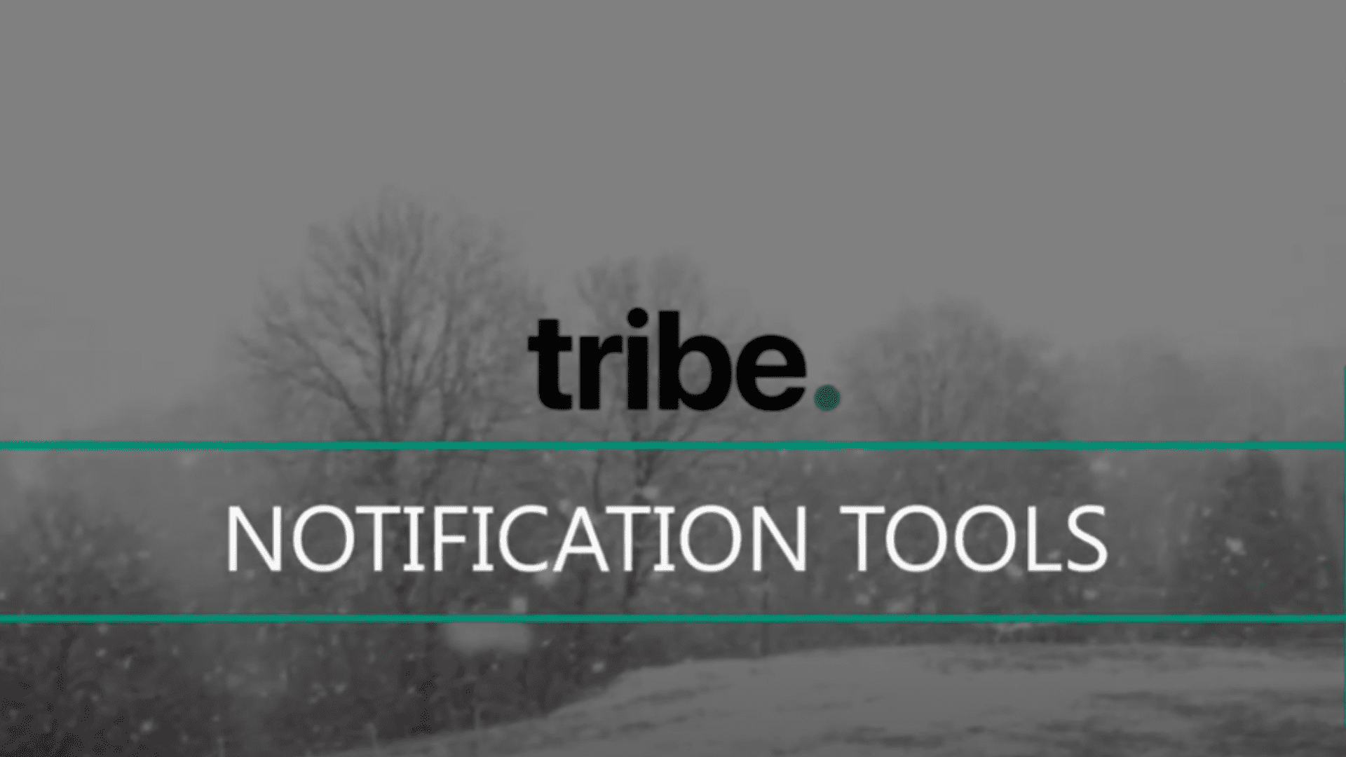 Bettermode (Tribe ) Notification Tools