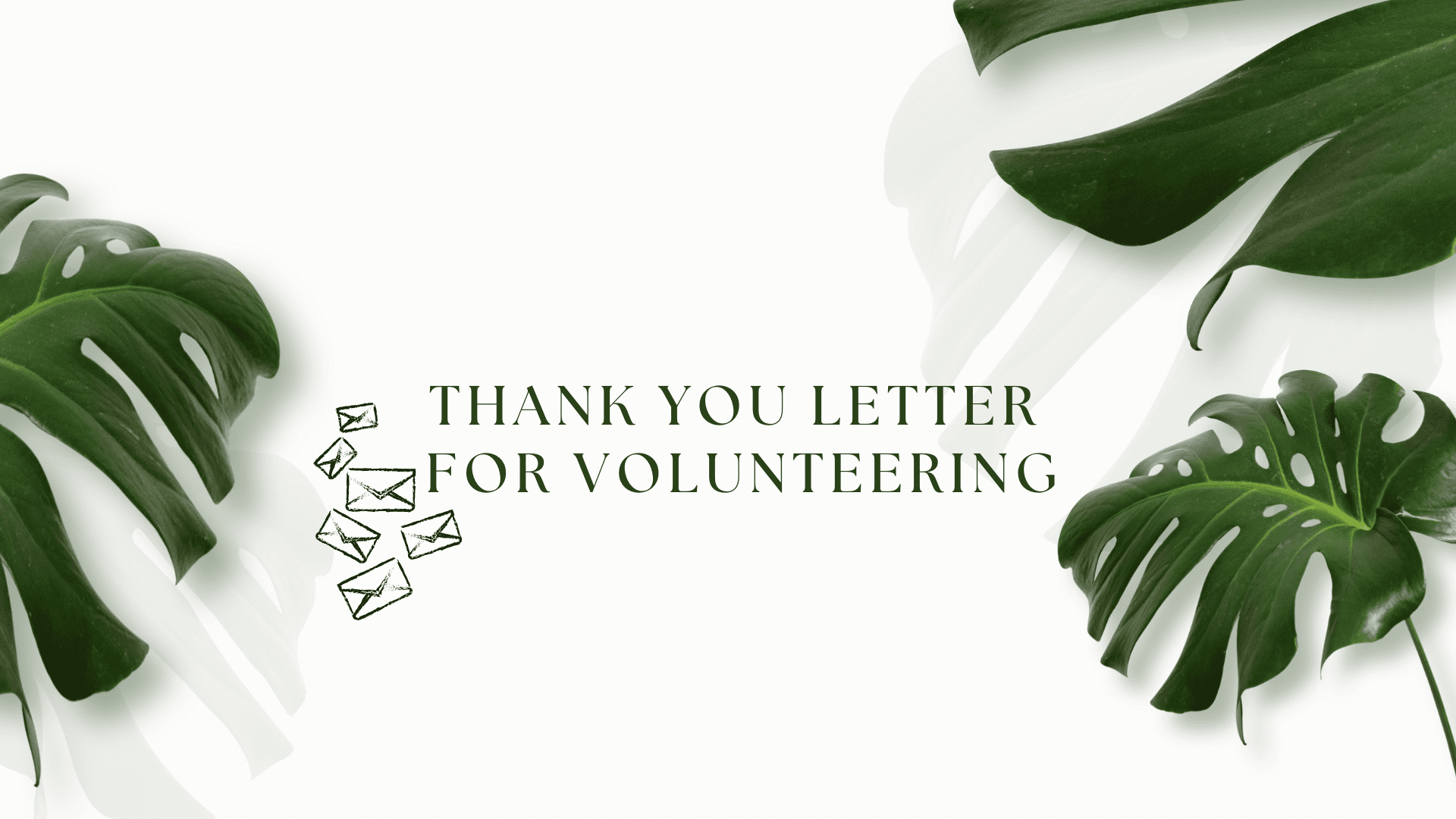thank you for volunteering letter